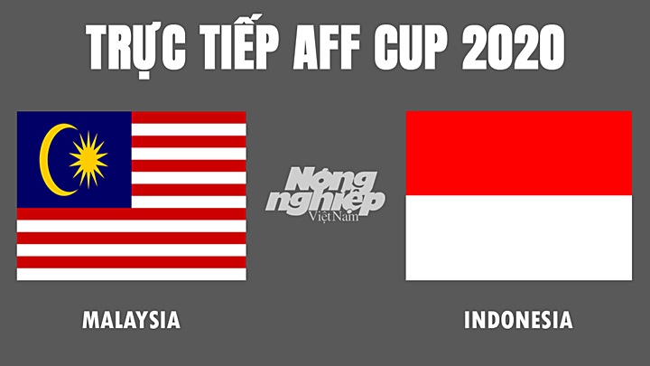 Trực tiếp bóng đá AFF Cup 2020 giữa Malaysia vs Indonesia hôm nay 19/12/2021