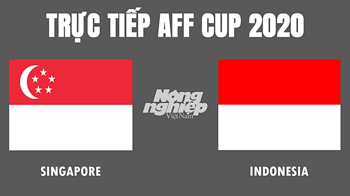 Trực tiếp bóng đá AFF Cup 2020 giữa Singapore vs Indonesia hôm nay 22/12/2021