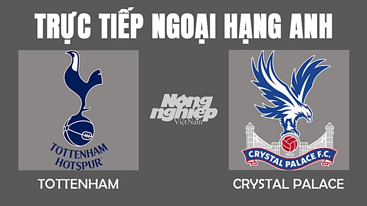 Trực tiếp bóng đá Ngoại hạng Anh giữa Tottenham vs Crystal Palace hôm nay 26/12/2021