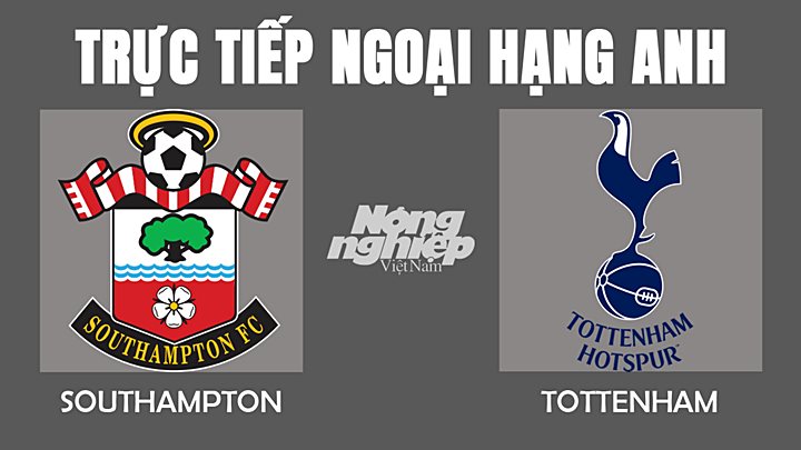 Trực tiếp bóng đá Ngoại hạng Anh giữa Southampton vs Tottenham hôm nay 28/12/2021