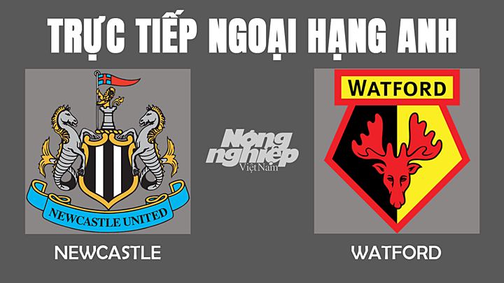 Trực tiếp bóng đá Ngoại hạng Anh giữa Newcastle vs Watford hôm nay 15/1/2022