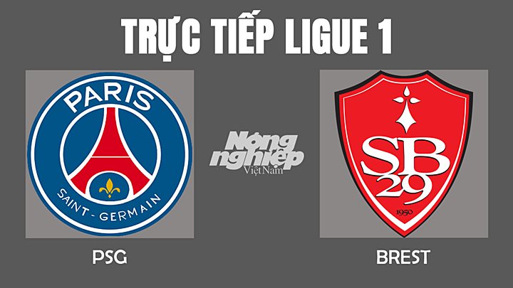 Trực tiếp bóng đá Ligue 1 giữa PSG vs Brest hôm nay 16/1/2022