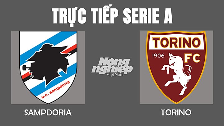 Trực tiếp bóng đá Serie A 2022 giữa Sampdoria vs Torino hôm nay 15/1/2022
