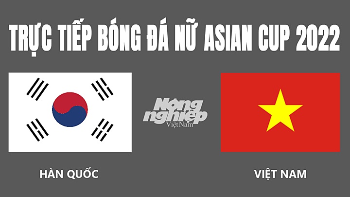 Trực tiếp bóng đá Asian Cup 2022 giữa Việt Nam vs Hàn Quốc hôm nay 21/1/2022