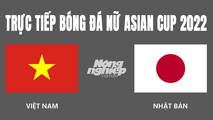 Trực tiếp bóng đá nữ Asian Cup 2022 giữa Việt Nam vs Nhật Bản hôm nay 24/1/2022