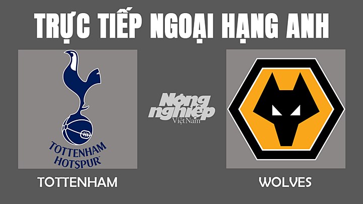 Trực tiếp bóng đá Ngoại hạng Anh giữa Tottenham vs Wolves hôm nay 13/2/2022