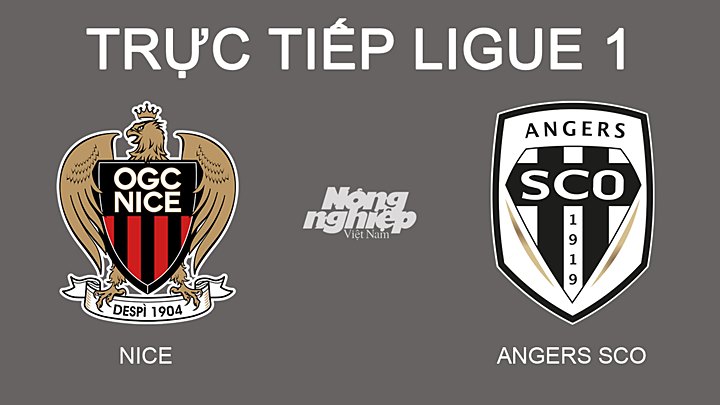 Trực tiếp bóng đá Ligue 1 giữa Nice vs Angers hôm nay 20/2/2022