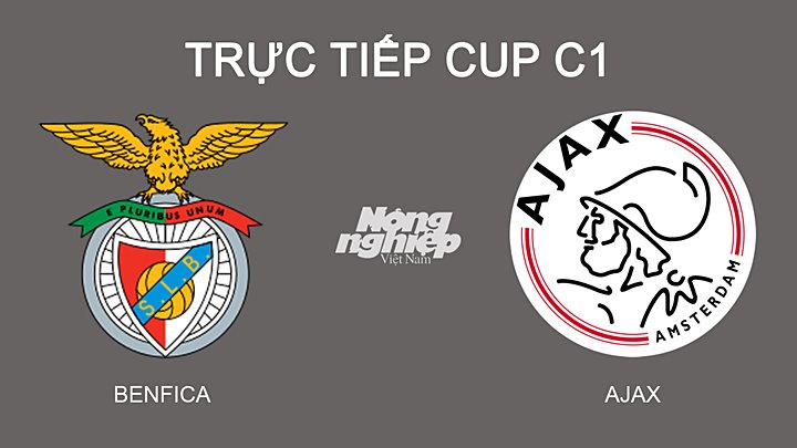 Trực tiếp bóng đá CUP C1 giữa Benfica vs Ajax hôm nay 24/2/2022