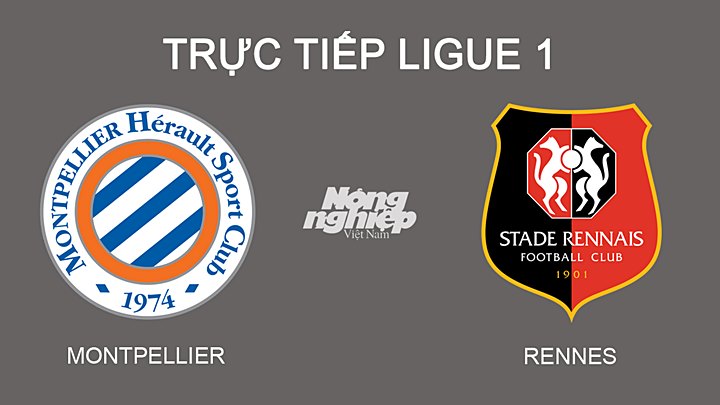Trực tiếp bóng đá Ligue 1 giữa Montpellier vs Rennes hôm nay 26/2/2022