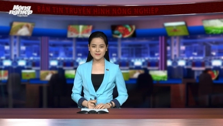 MC Mỹ Linh dẫn chương trình bản tin truyền hình của Báo Nông nghiệp Việt Nam.