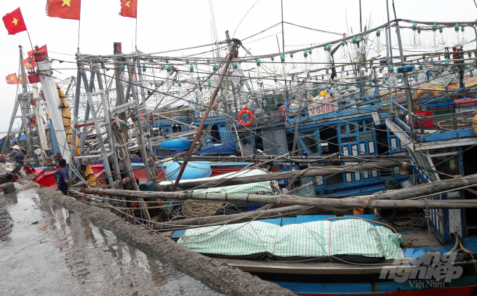 100% tàu thuyền của ngư dân tỉnh Thanh Hóa đã vào nơi tránh trú bão an toàn. Ảnh: Võ Dũng.