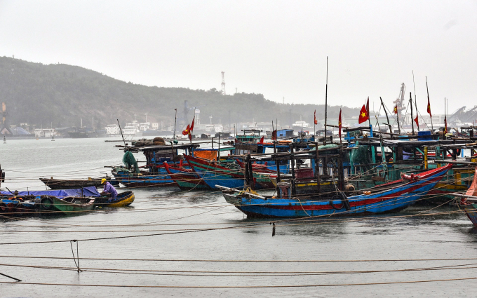 Đến 16h ngày 13/10, toàn tỉnh Thanh Hóa có 7.194 phương tiện nghề cá, với 26.532 lao động đã về bến an toàn; 17 phương tiện với 84 lao động đang hoạt động trên vùng biển Thanh Hóa. Các phương tiện đều nắm được thông tin, diễn biến của bão số 7 và giữ liên lạc với bờ bình thường. Ảnh: HD.