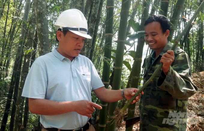 Cần có nhiều hơn những mô hình giảm nghèo bền vững tại các vùng đồng bào dân tộc thiểu số. Ảnh: Võ Dũng.