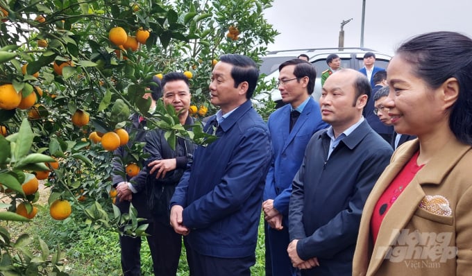 Thăm mô hình cây ăn quả tại huyện Thạch Thành, chủ tịch UBND tỉnh Thanh Hóa Đỗ Minh Tuấn giao Sở Nông nghiệp và Phát triển nông thôn đẩy nhanh việc xây dựng bản đồ nông hóa thổ nhưỡng. Ảnh: Võ Dũng.