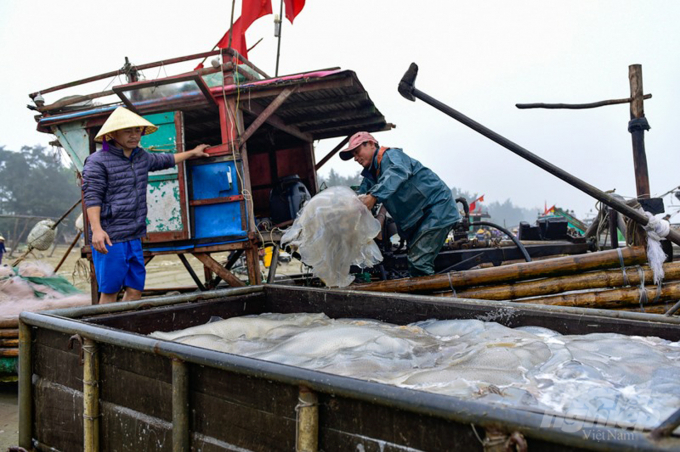 Phương tiện đánh bắt cá trích rất thô sơ, chỉ cần bè mảng, lưới dày nan. Mỗi bè mảng chỉ cần 2-3 lao động, đánh bắt trong vùng lộng.  Sản phẩm của bè mảng thường là cá trích, cá ve, moi, sứa. Ảnh: Võ Dũng.