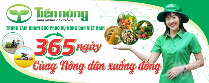 Trung tâm Chăm sóc phục vụ nông dân Việt Nam (thuộc Công ty Tiến Nông) tổ chức Chương trình '365 ngày cùng nông dân xuống đồng'. Ảnh: Công ty Tiến Nông.