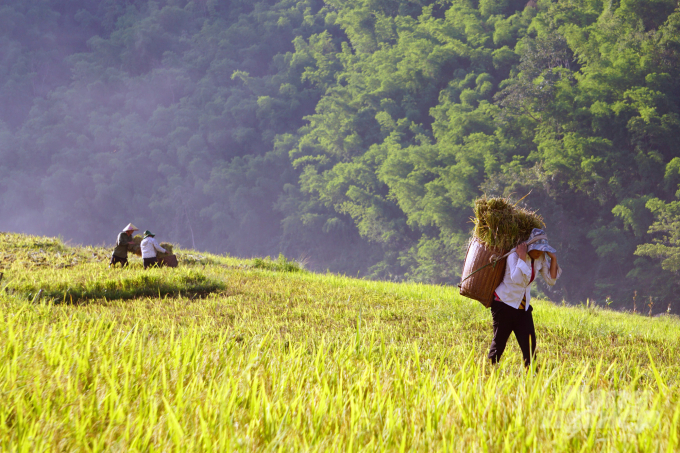 Người trẻ...