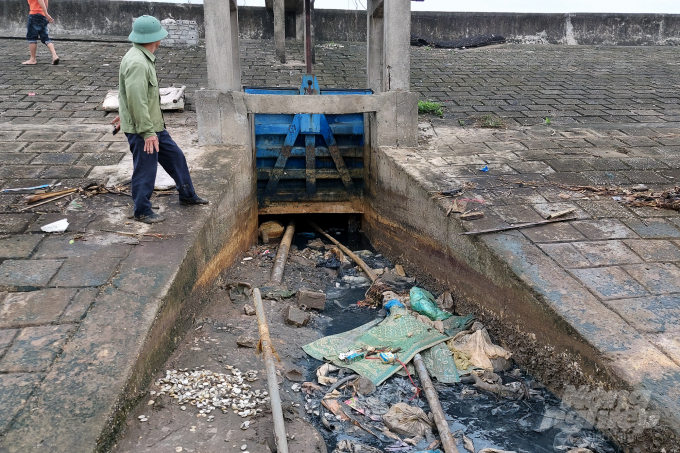 Môi trường nuôi trồng thủy sản ở Thanh Hóa đang bị ô nhiễm nghiêm trọng. Ảnh: Tâm Phùng.