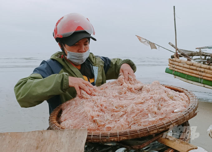 Những mớ moi tươi rói.... Ảnh: VD.