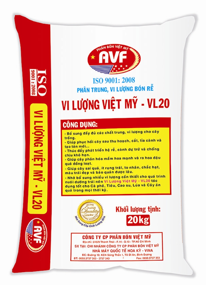 vi-luong-viet-my-vl20100714272