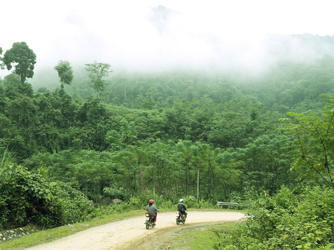 08-03-36_bn-p-khom-qunh-nm-suong-mu-bo-phu