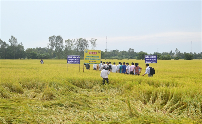 16-10-54_nh-1-cnh-tc-lu-thong-minh