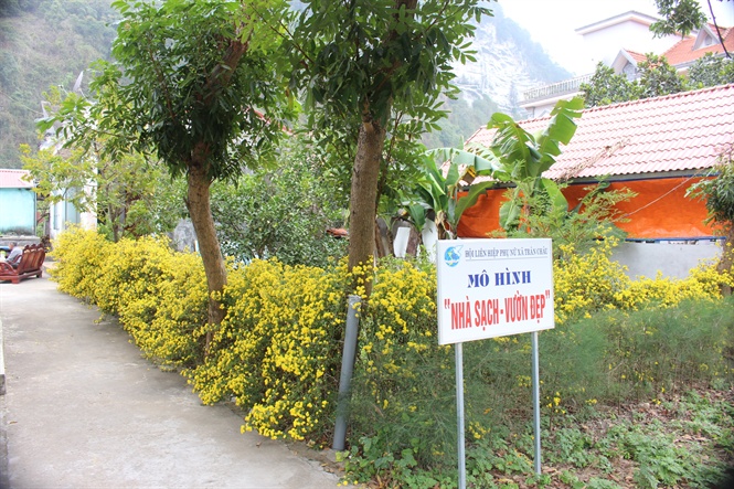 Ra mắt mô hình nhà sạch  vườn đẹp đầu tiên ở Nghi Xuân  Cổng TTĐT tỉnh  Hà Tĩnh