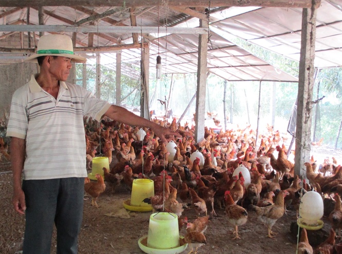 Mô hình trang trại tại Việt Nam Học cách làm hiệu quả  Nghề Nông