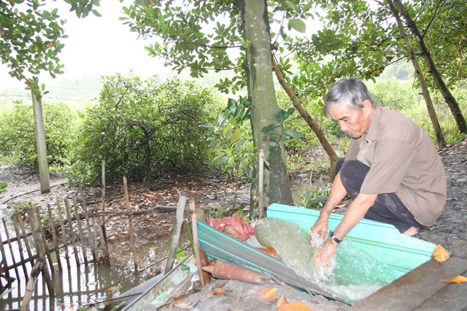 18-33-03_5-bom-nuoc-cuu-vuon-cy-bi-ung-trong-mu-kho