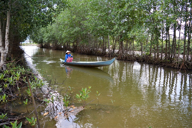 16-28-22_2-mo-hinh-dnxh-se-thuc-dy-nghe-nuoi-tom-sinh-thi-duoi-tn-rung-pht-trien-nng-co-gi-tri-2