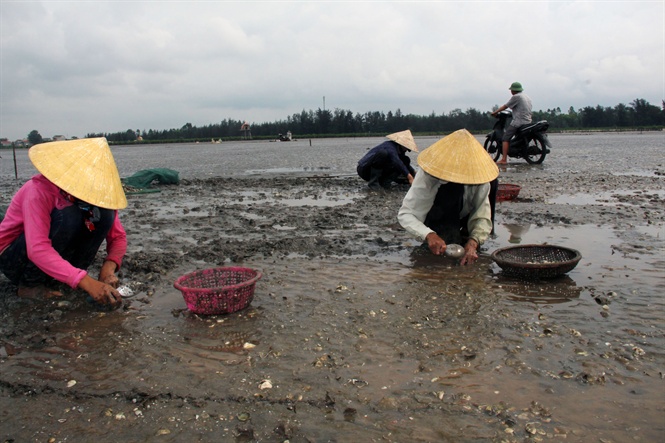 09-58-50_thu_hoch_ngo_thu_cong