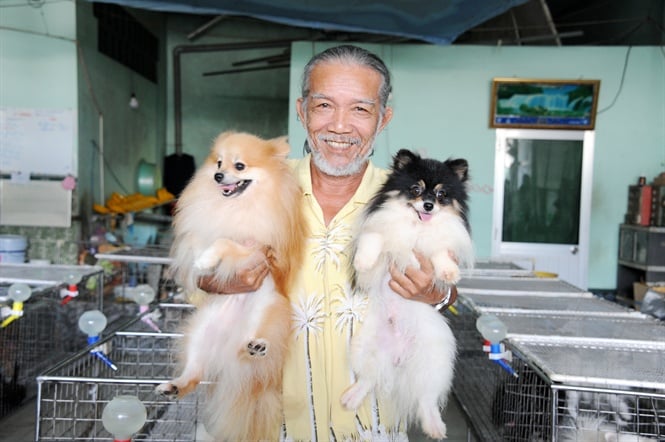 Trang trại chó đắt nhất hành tinh của đại gia Quảng Ninh