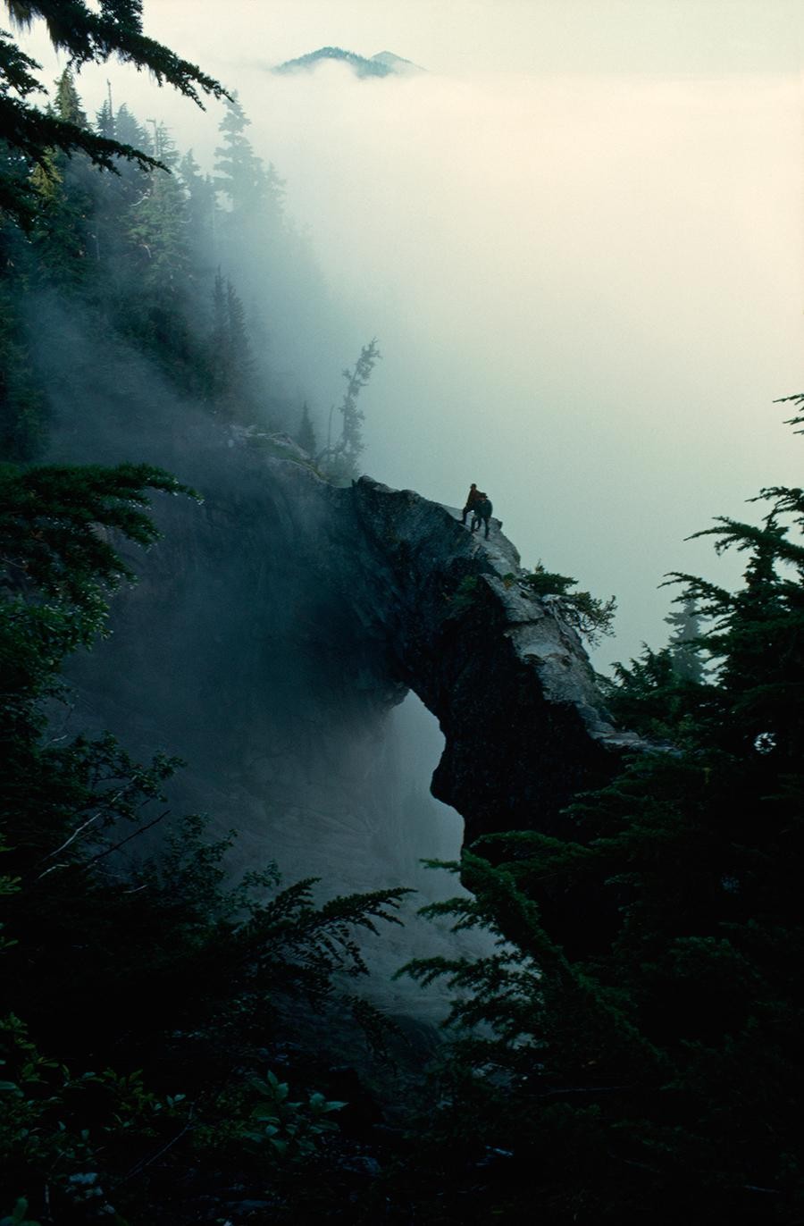 “Cây cầu đi lên những đám mây” trên núi Rainier, Mỹ