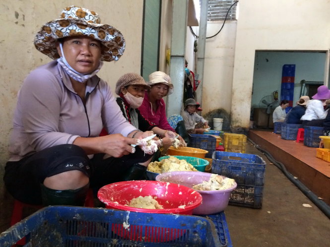 Các công nhân đang sơ chế sầu riêng tại cơ sở của của Công ty TNHH MTV Kim Quý ( Krông Pắk, Đắk Lắk) sáng 24-8 - Ảnh: TRUNG TÂN