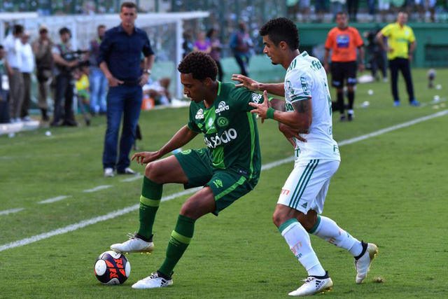 Chapecoense (áo xanh) đã hòa Palmeiras với tỷ số 2-2 trong ngày tái xuất