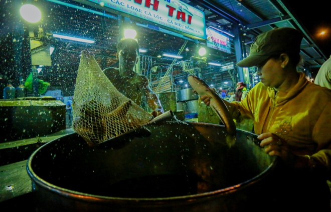Chợ cá lóc lớn nhất Sài Gòn nhộn nhịp ngày vía Thần tài