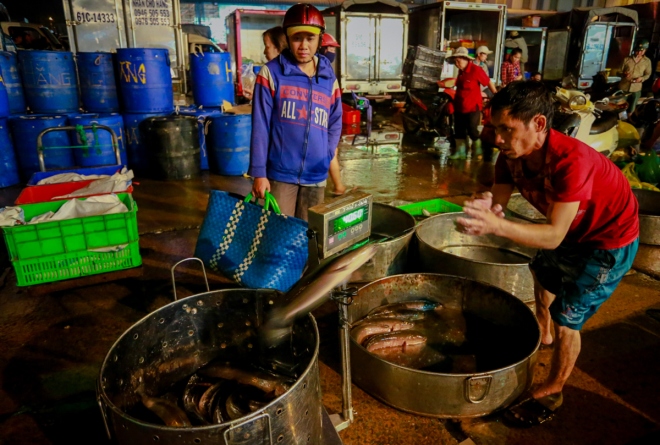 Chợ cá lóc lớn nhất Sài Gòn nhộn nhịp ngày vía Thần tài