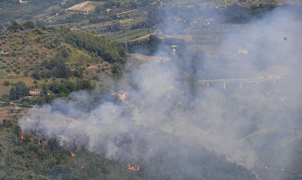 Cháy rừng bùng phát sau vụ tai nạn.