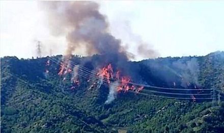 Vụ tai nạn đã gây ra các đám cháy rừng.