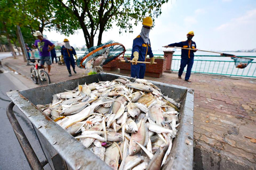 ha-noi-tim-nguyen-nhan-lan-dau-tien-ca-noi-trang-mat-ho-tay-1