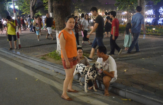 Người dân đem chó không rọ mõm vào phố đi bộ khiến du khách cảm thấy bất an (Ảnh: Người lao động)