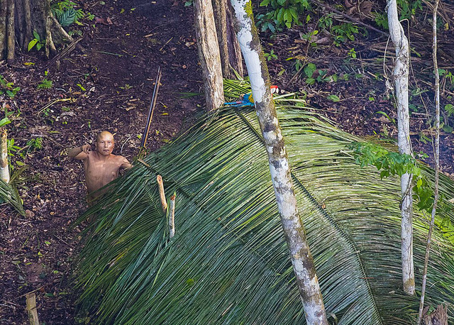  Các thổ dân được nhìn thấy cầm các vũ khí thô sơ như dao, cung, mũi tên. Brazil hiện có khoảng 80 bộ lạc sống biệt lập trong rừng Amazon. (Ảnh: Ricardo Stuckert)  