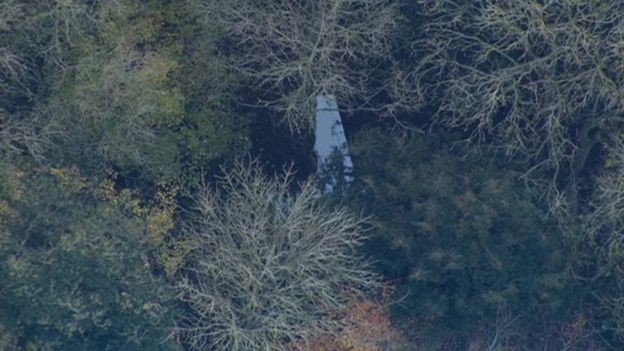 Một bộ phận của máy bay rơi trong rừng (Ảnh: Dailymail)