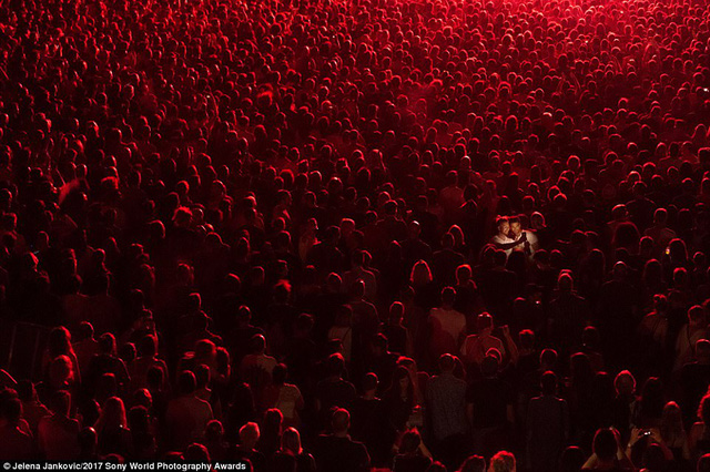 Khoảnh khắc chụp tại một đêm nhạc rock ở Croatia đoạt giải nhất National Awards, thực hiện bởi tay máy người Serbia.
