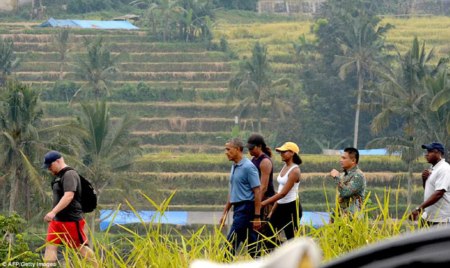 Cựu Tổng thống Barack Obama (áo xanh) cùng phu nhân Michelle (mũ đen) và con gái Sasha (mũ vàng) đi bộ qua cánh đồng lúa ở Bali, Indonesia (Ảnh: AFP)