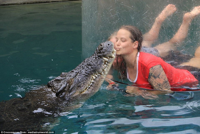 Một nữ du khách táo bạo tiếp cận cá sấu ở cự ly gần