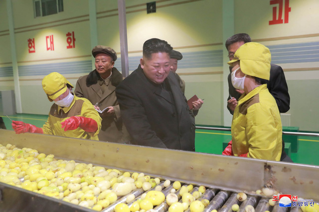   Hãng thông tấn quốc gia Triều Tiên (KCNA) ngày 30/10 đưa tin nhà lãnh đạo Kim Jong-un đã tới thăm nhà máy chế biến khoai tây Samjiyon ở Samjiyon, tỉnh Ryanggang, giáp biên giới với Trung Quốc.  