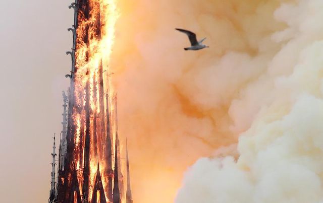 Những hình ảnh đầu tiên bên trong Nhà thờ Đức Bà Paris sau hỏa hoạn dữ dội - 16