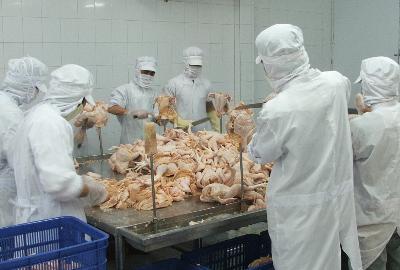 Tết này, rất nhiều DN nhìn thấy lợi nhuận từ thịt gà nhập khẩu.