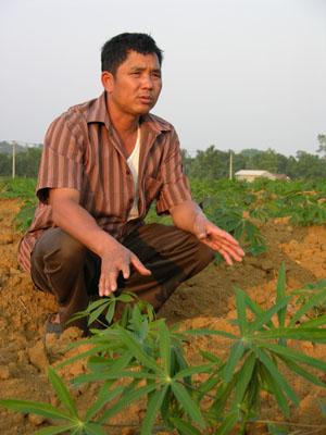 Anh Phùng Văn Mị: "Vì thiếu vốn đầu tư nên tôi phải trồng 8 ha sắn" 